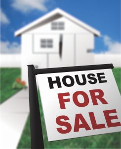 house for sale sign in front of white house blue skies green grass - mortgage loans