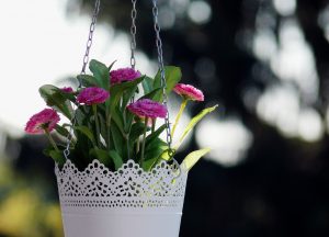 white vintage hanging flower pot with pink flowers - FHA Loans